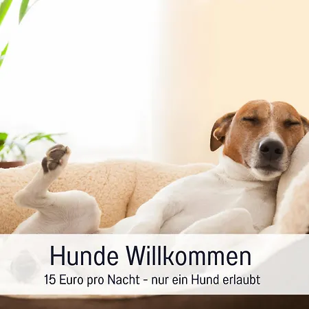 Komfort-ferienhaus Diessen - Ideal Fuer Familien & Barrierefrei *